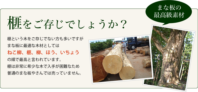 送料無料】本榧まな板（お試しサイズ）の通販【榧工房 かやの森】