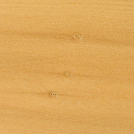 準合格品】本榧まな板【榧工房 かやの森】