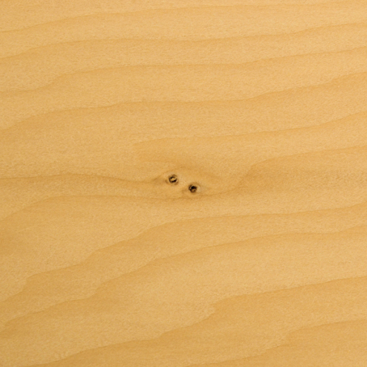 準合格品】本榧まな板【榧工房 かやの森】