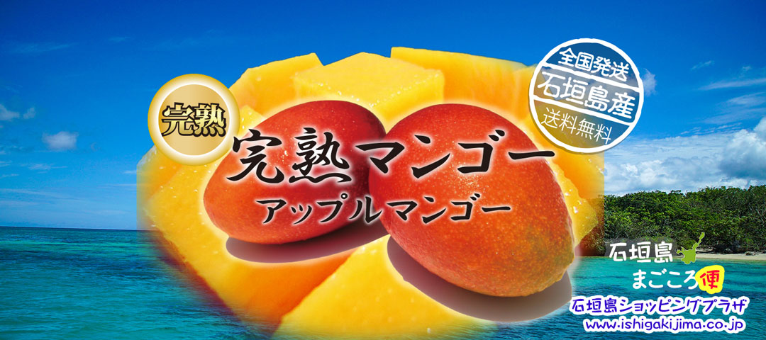 石垣島産 完熟マンゴー通販｜島の駅 カビラガーデン