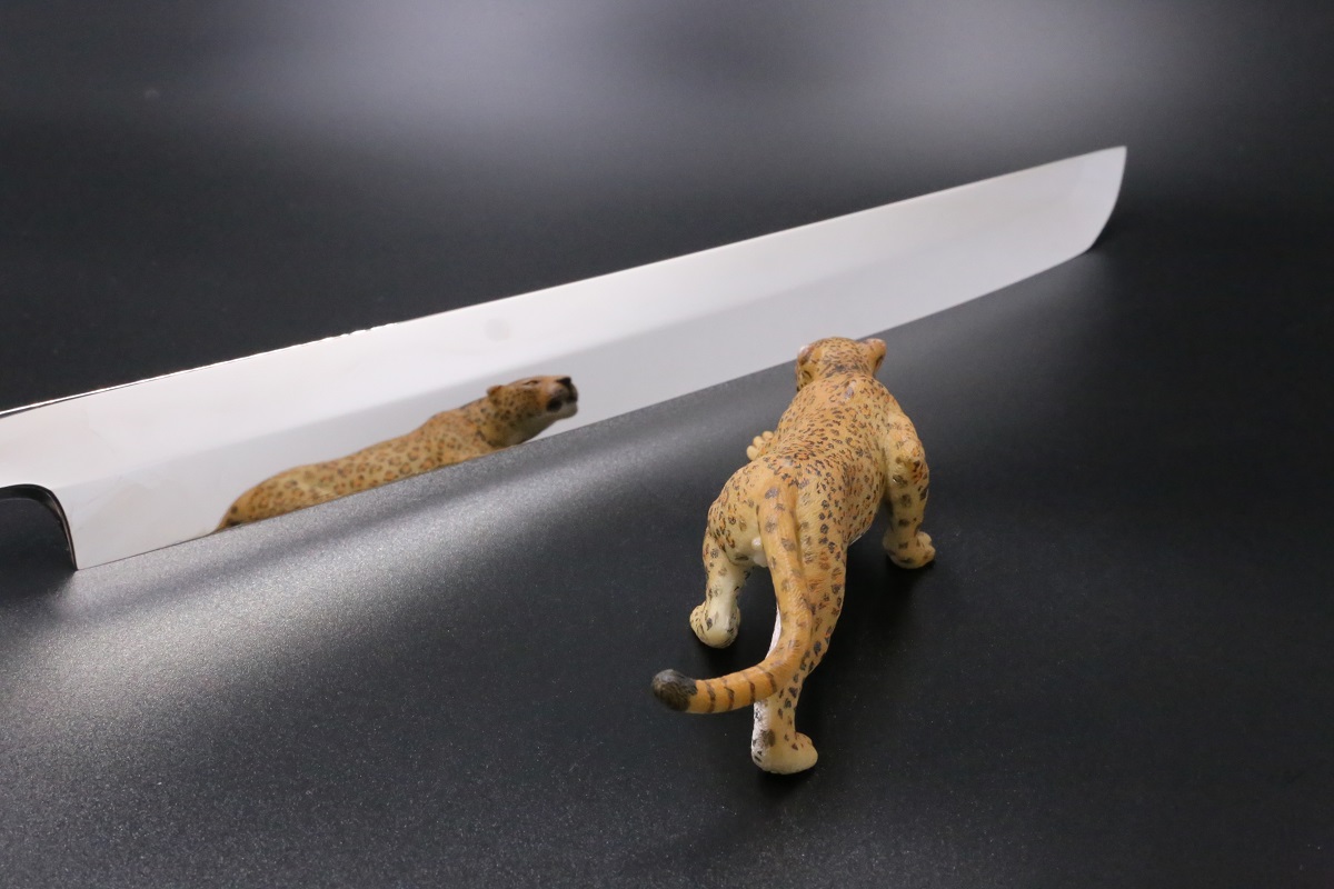 白木作蛸引 先丸包丁本焼白鋼鏡面尺一アイアンウッド水牛銀巻柄