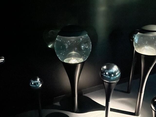 ポリプって何者？｜海遊館とつながる｜海遊館