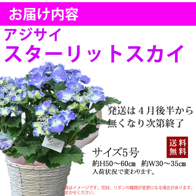 あじさい スターリットスカイ 青 アジサイ 5寸 商品詳細｜ブルーローズ