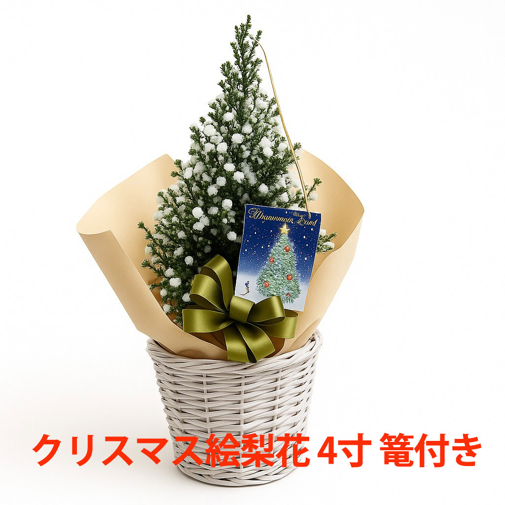 クリスマス ポインセチアを飾ろう！贈ろう！インターネット通販花屋