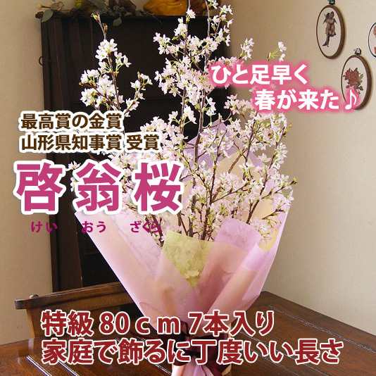 啓翁桜 通販 送料無料 花樹有（かじゅある） 商品詳細｜ブルーローズと