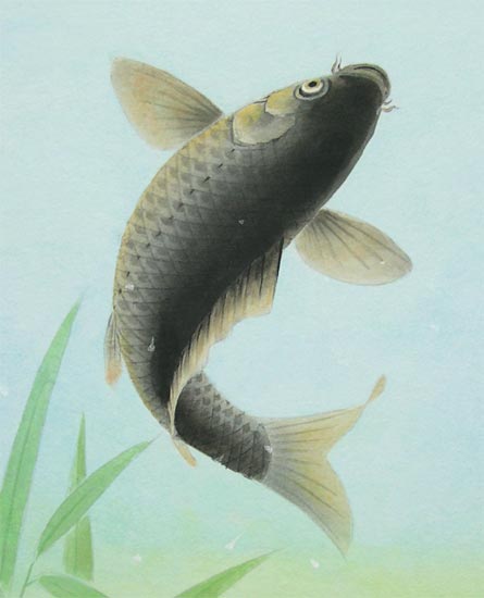 絵画 日本画 跳鯉 （塚下静庵） 送料無料 【肉筆】【日本画】【鯉】【3