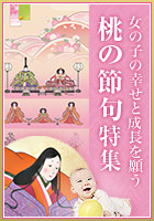 釈迦名号 中阪 耕雲 書道家 （尺五立）肉筆 あ039！ 南無釈迦牟尼仏