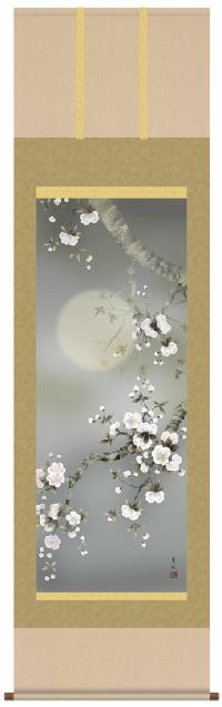 夜桜 緒方葉水 尺五立 【大特価】 日本製 春 - 掛け軸（掛軸）販売通販