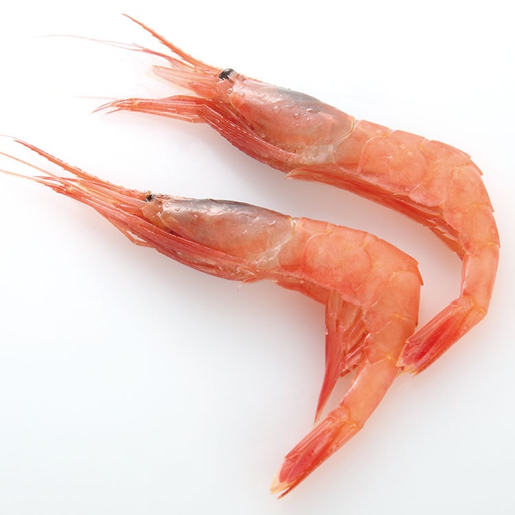 甘えび LA 1KG: 水産品 KANTO EXPRESS