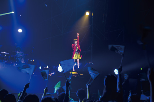 椎名林檎 生林檎博'15 －垂涎三尺－ [椎名林檎 台湾公演]