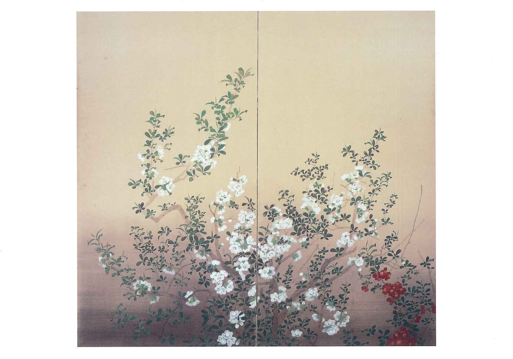 ポストカード - 山口蓬春記念館