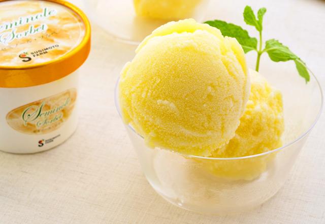 無添加、糖分控えめのさっぱりシャーベット「セミノール・ソルベ