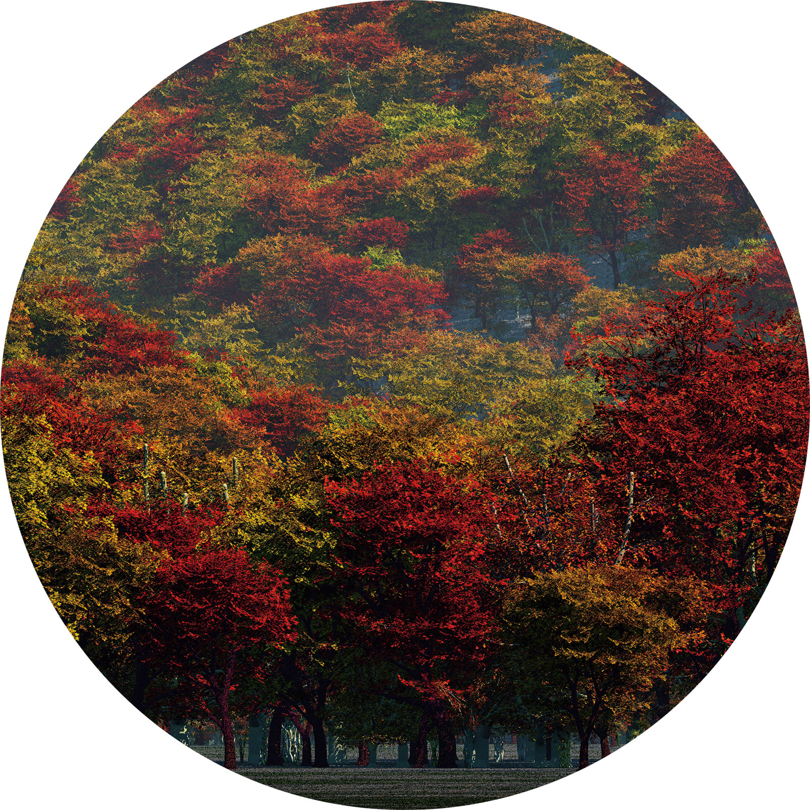 DSPRW-MtA-3006-AUT ジオラマシートPRO [FREE 山背景A（秋