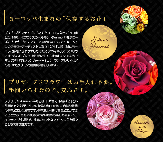 オリジナルオーダー5/プリザーブドフラワー プリザーブドフラワー