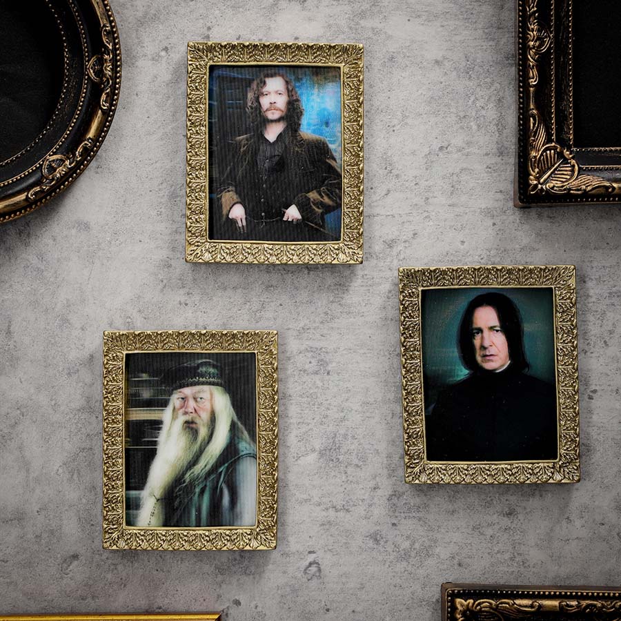 ハリー・ポッター 肖像画コレクションマグネットコレクション 全8種