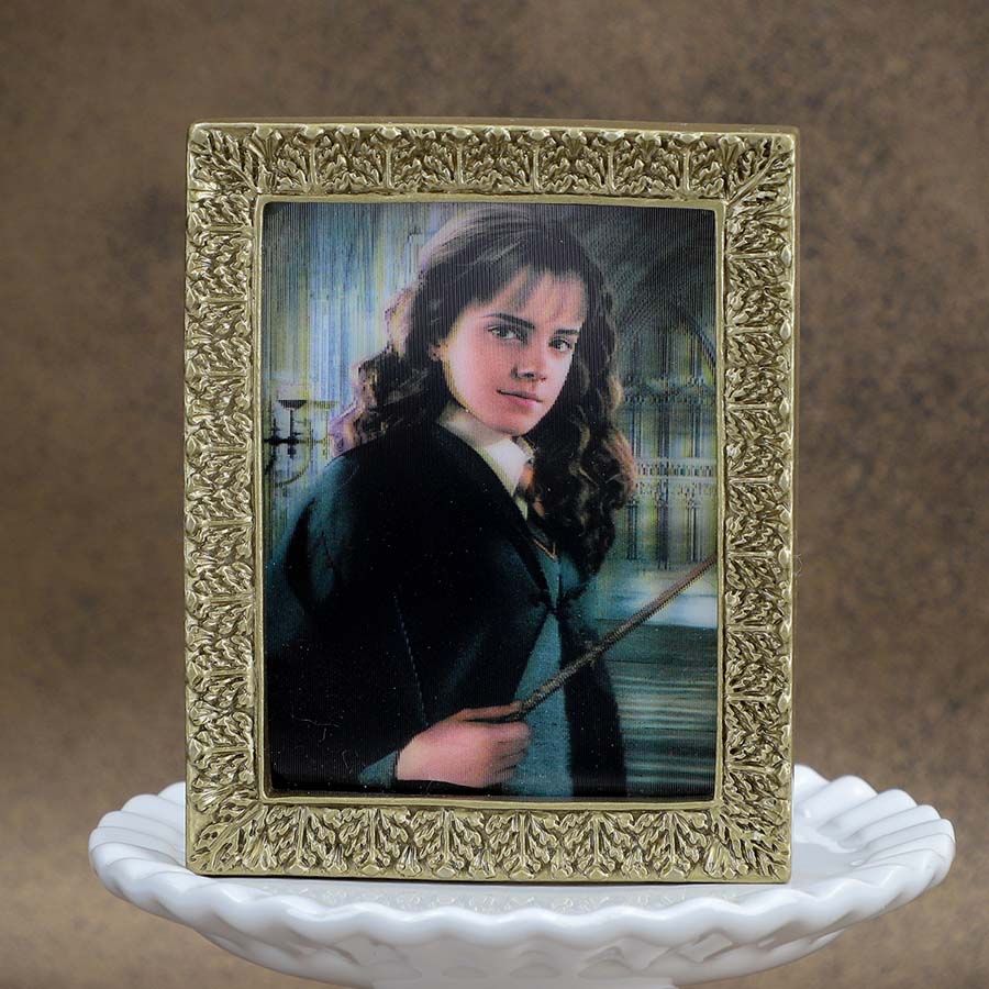 ハリー・ポッター 肖像画コレクションマグネットコレクション 全8種