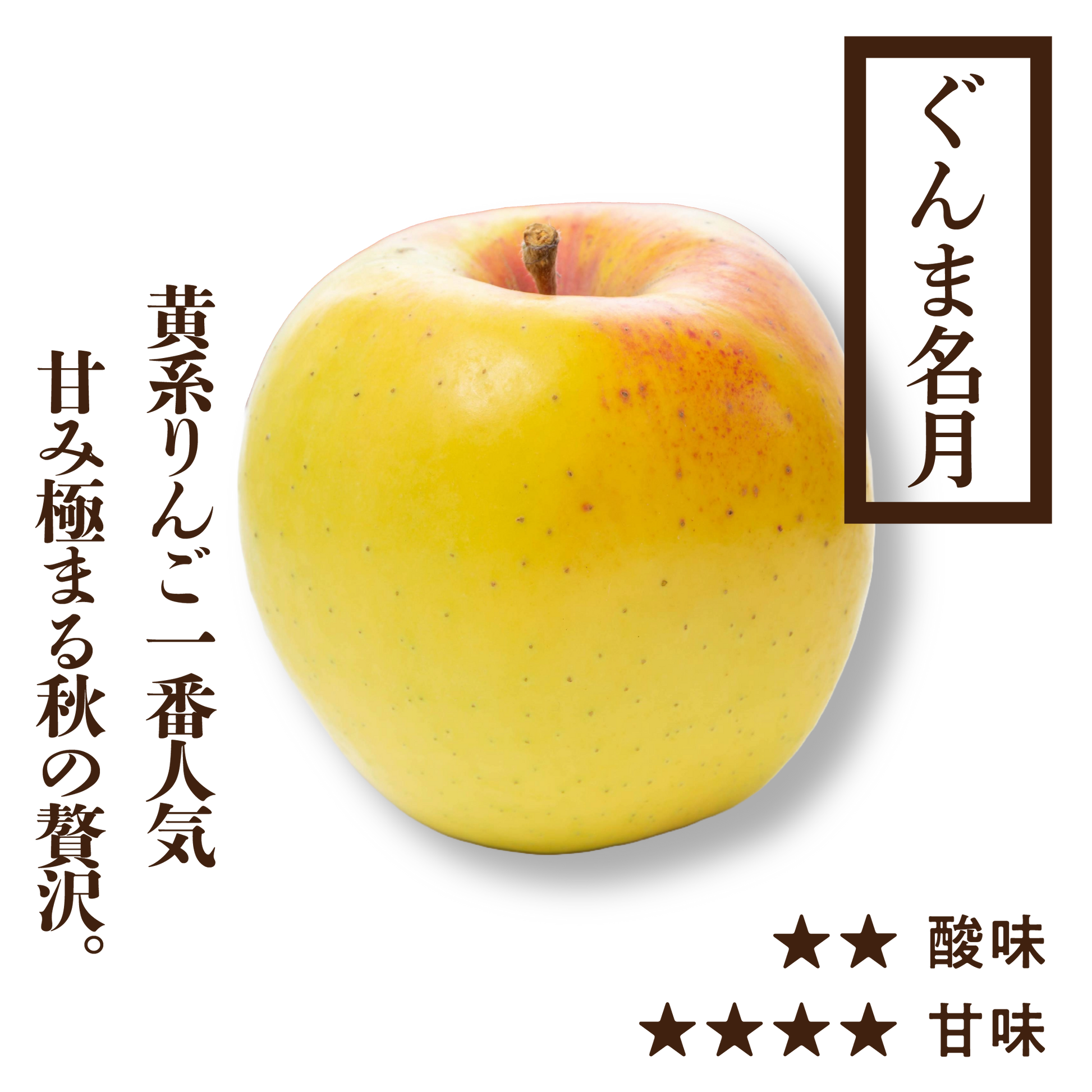 ぐんま名月 | 産地直送通販 | 青森りんご | RED APPLE（レッドアップル