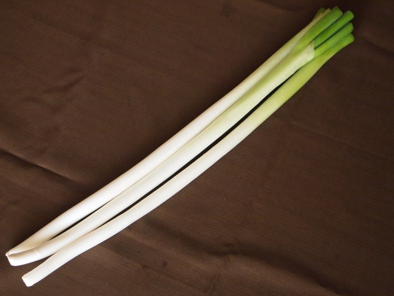 広島県産白ねぎ|チア！ひろしま 広島県産応援登録制度