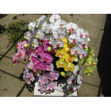 お取り寄せ オリジナルフラワー 光触媒 造花胡蝶蘭10色MIX 20本立