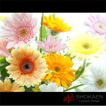 お取り寄せ オリジナルフラワー 【アレンジ864】ガーベラMIX