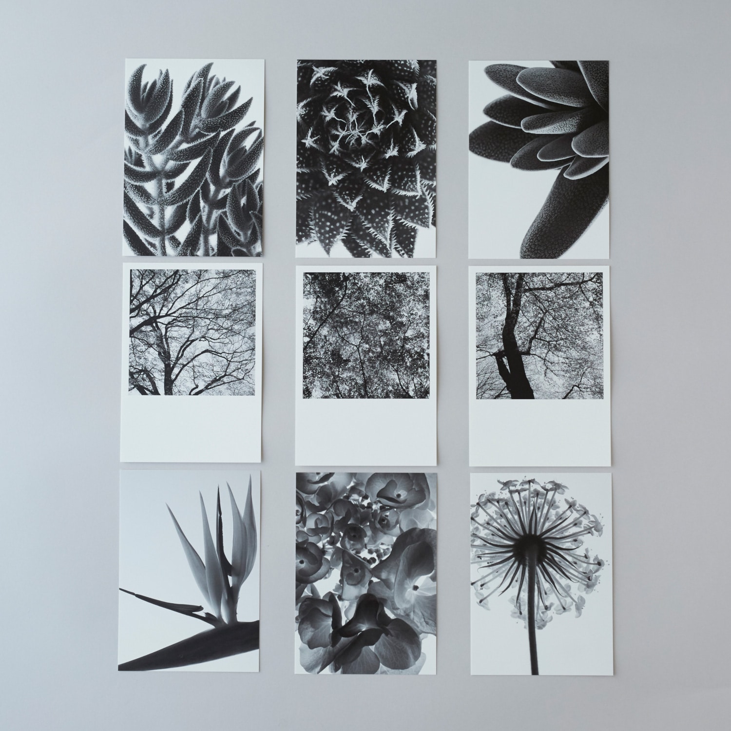 林雅之 BLACK AND WHITE ポストカードセット｜写真｜IDEE SHOP Online