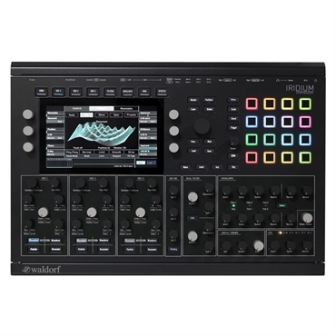 Waldorf PROTEIN Authentic Wavetable Synthesizer (ウォルドルフ