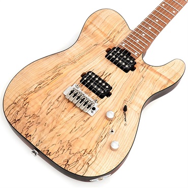 Bacchus Global Series TACTICS24-SPM RSM/M (NAS) 【ディバイザー大