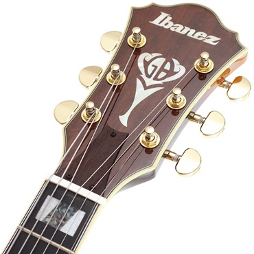 Ibanez Artcore Expressionist AF95-BS ｜イケベ楽器店オンラインストア