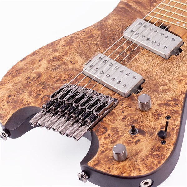 Ibanez QX527PB-ABS [SPOT MODEL] ｜イケベ楽器店オンラインストア