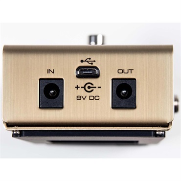 Peterson StroboStomp LE [SSLE] ｜イケベ楽器店オンラインストア