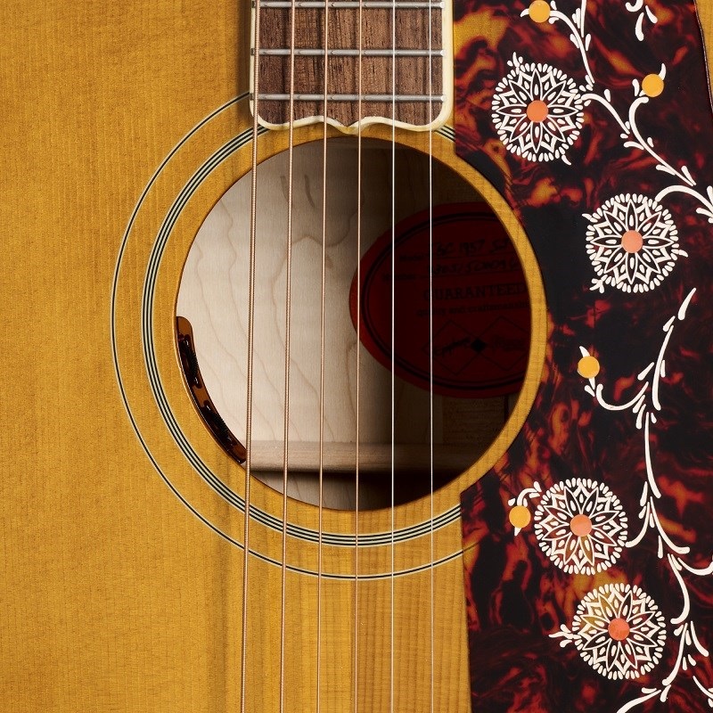 Epiphone 【数量限定エピフォン・アクセサリーパック・プレゼント