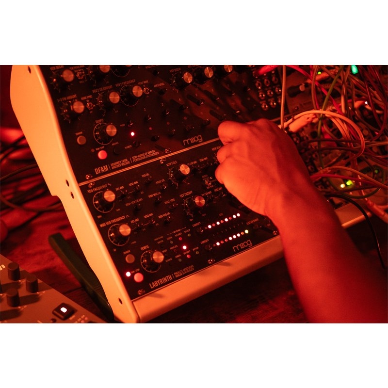 moog モーグ Labyrinth (ラビリンス) パラレルジェネレーティブ