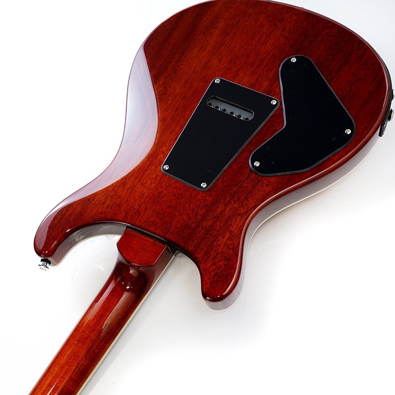 P.R.S. SE Custom 24 Semi-Hollow Piezo (Vintage Sunburst ) ｜イケベ