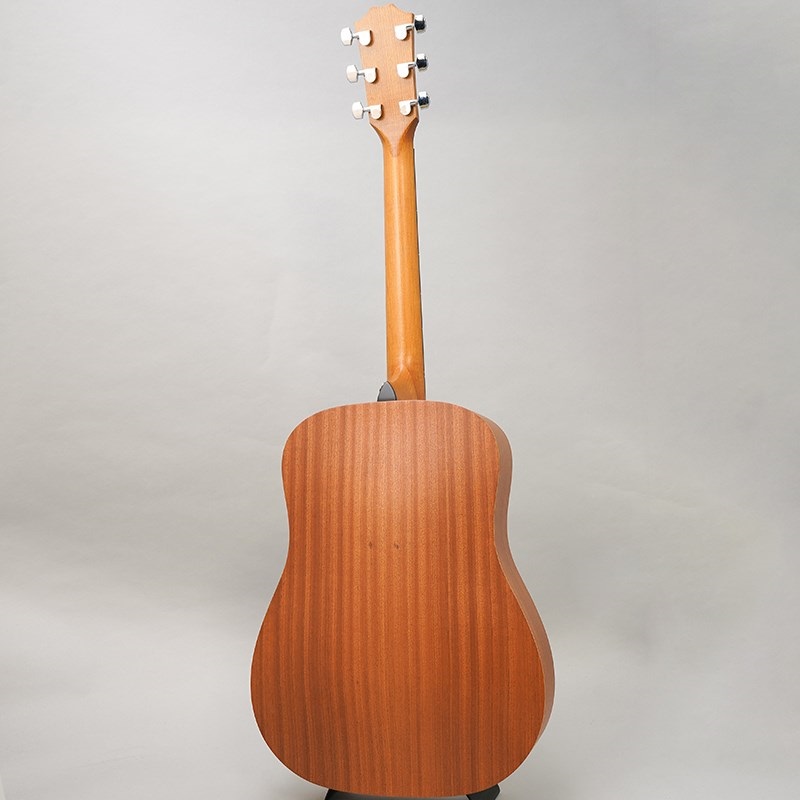 TAYLOR Academy 10 テイラー ｜イケベ楽器店オンラインストア