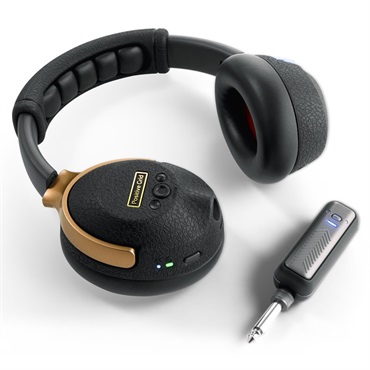 Positive Grid 【Positive Grid Spark シリーズ Winter Sale】Spark