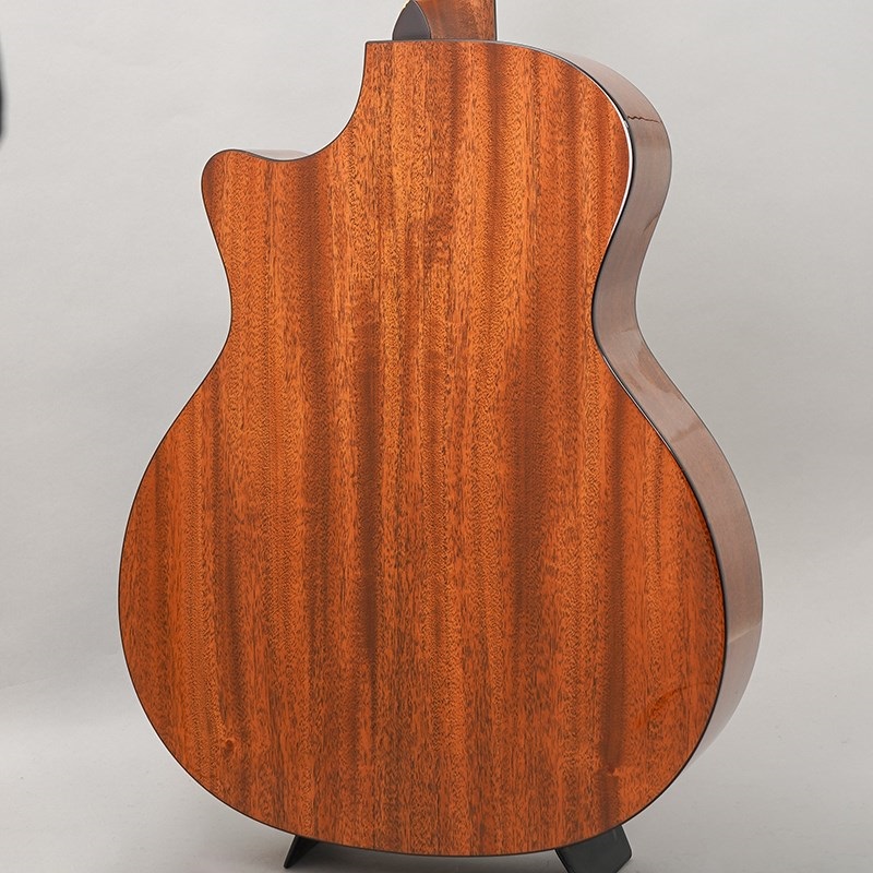 TAYLOR Legacy 514ce テイラー ｜イケベ楽器店オンラインストア