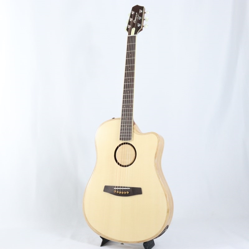 L.R.Baggs AEG-1 NAT エルアールバックス ｜イケベ楽器店オンラインストア