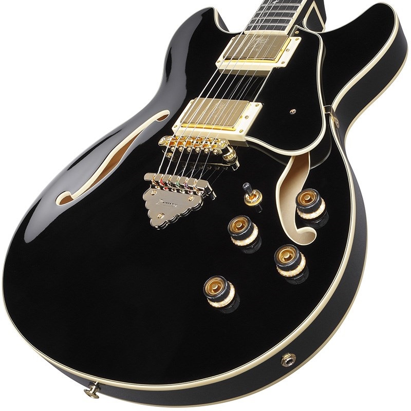 Ibanez Artcore Expressionist AS93SP-BK (Black) [SPOT MODEL