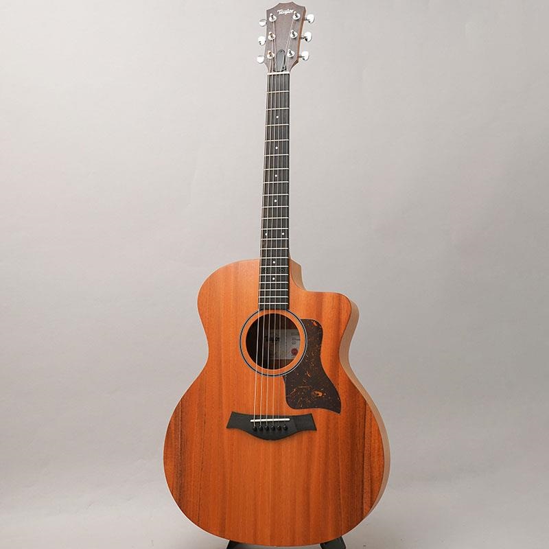 TAYLOR 24ce テイラー ｜イケベ楽器店オンラインストア