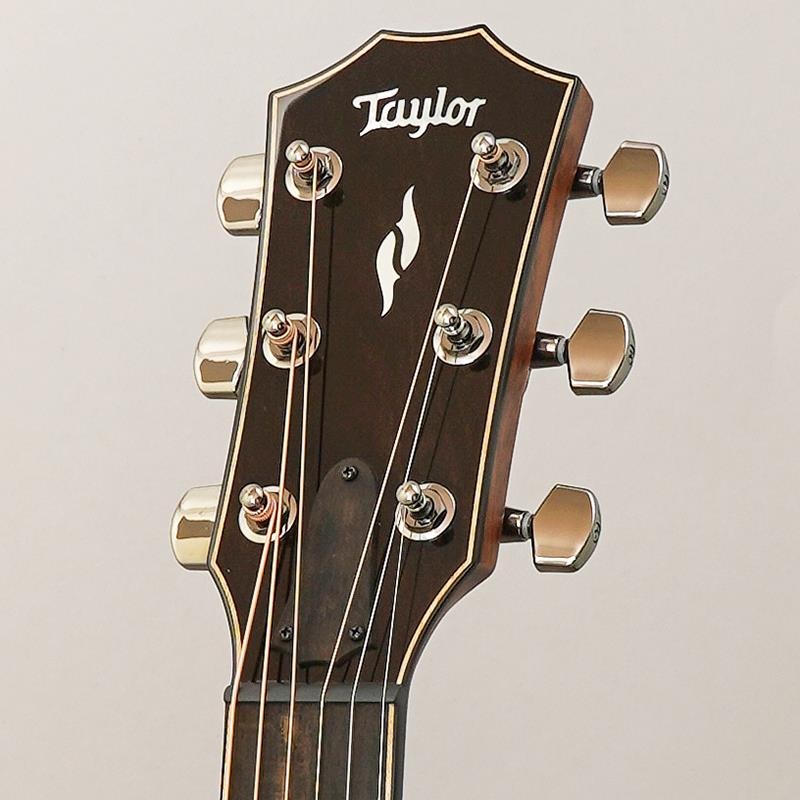 TAYLOR 814c テイラー ｜イケベ楽器店オンラインストア