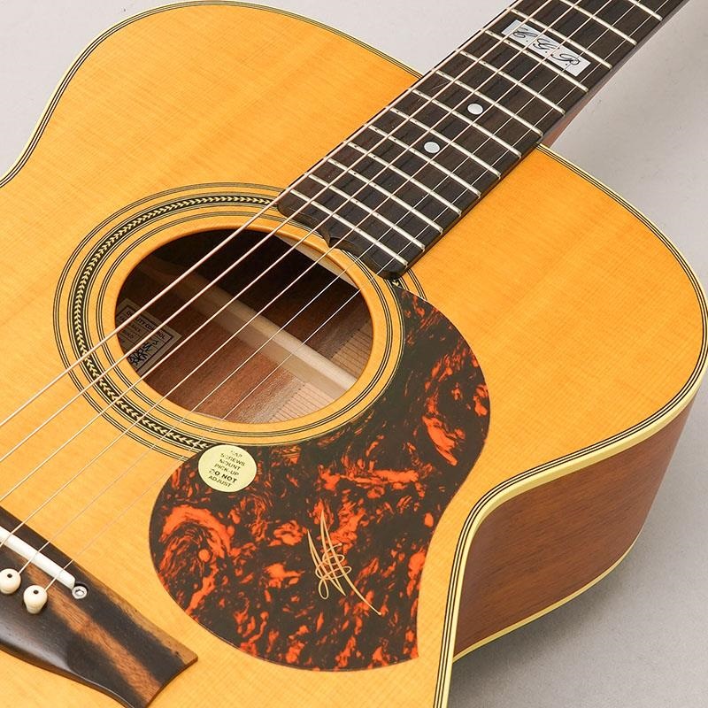 MATON EBG808TE - Tommy Emmanuel - メイトン ｜イケベ楽器店