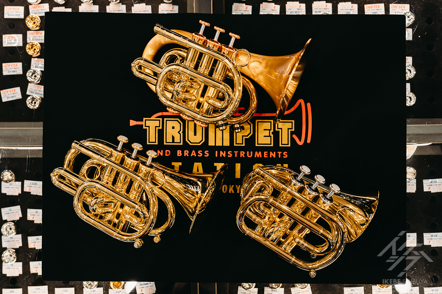 IKEBE LIVE SHOPPING #83｜CarolBrassポケットトランペットを紐解く