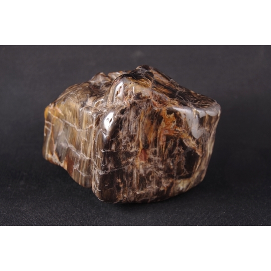 珪化木（木化石）原石磨き 735g 天然石販売 名取貴石 天然石・国産