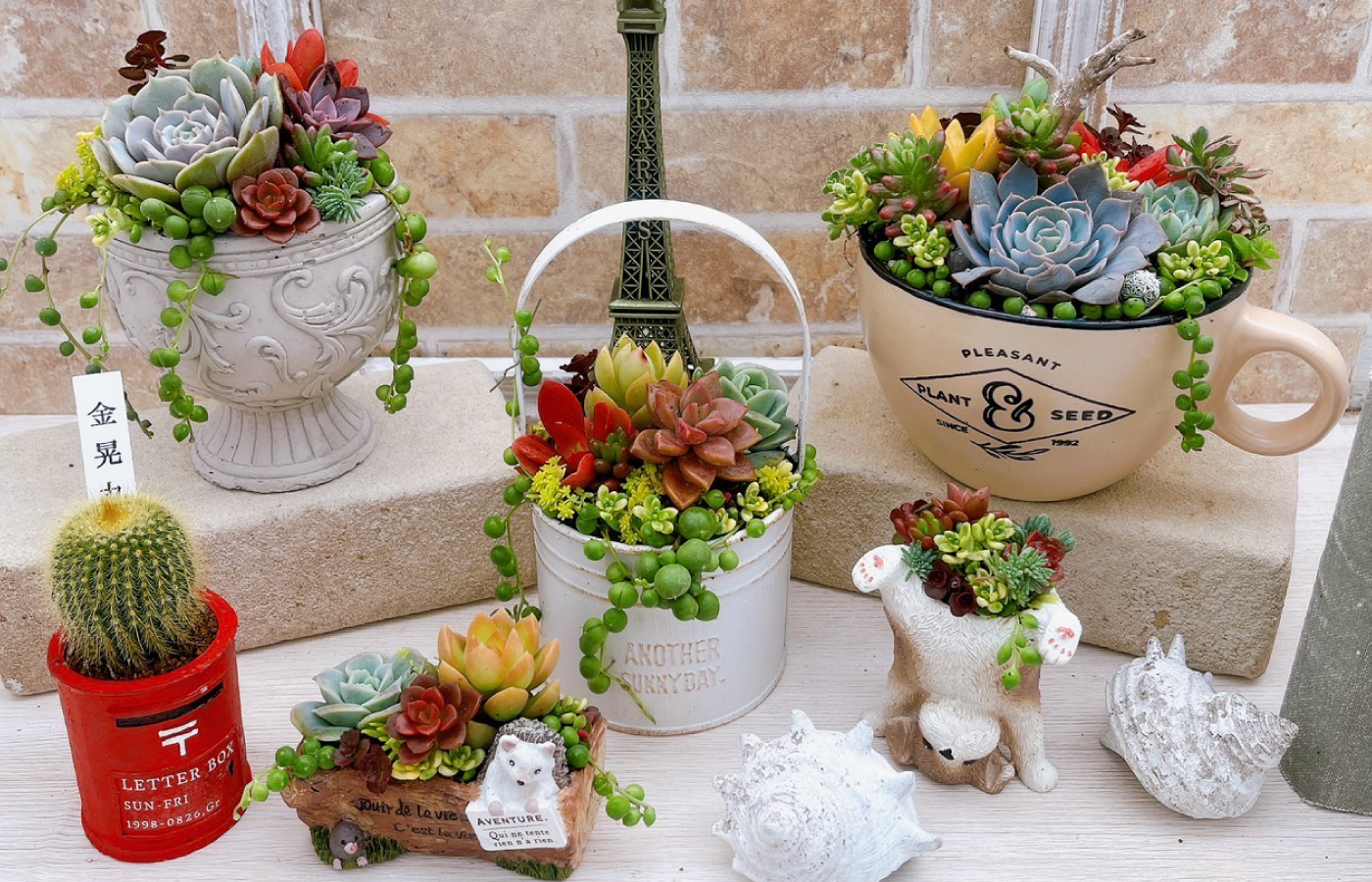 アトリエnana 多肉植物専門店 | 【公式】イズモカードオフィシャルサイト