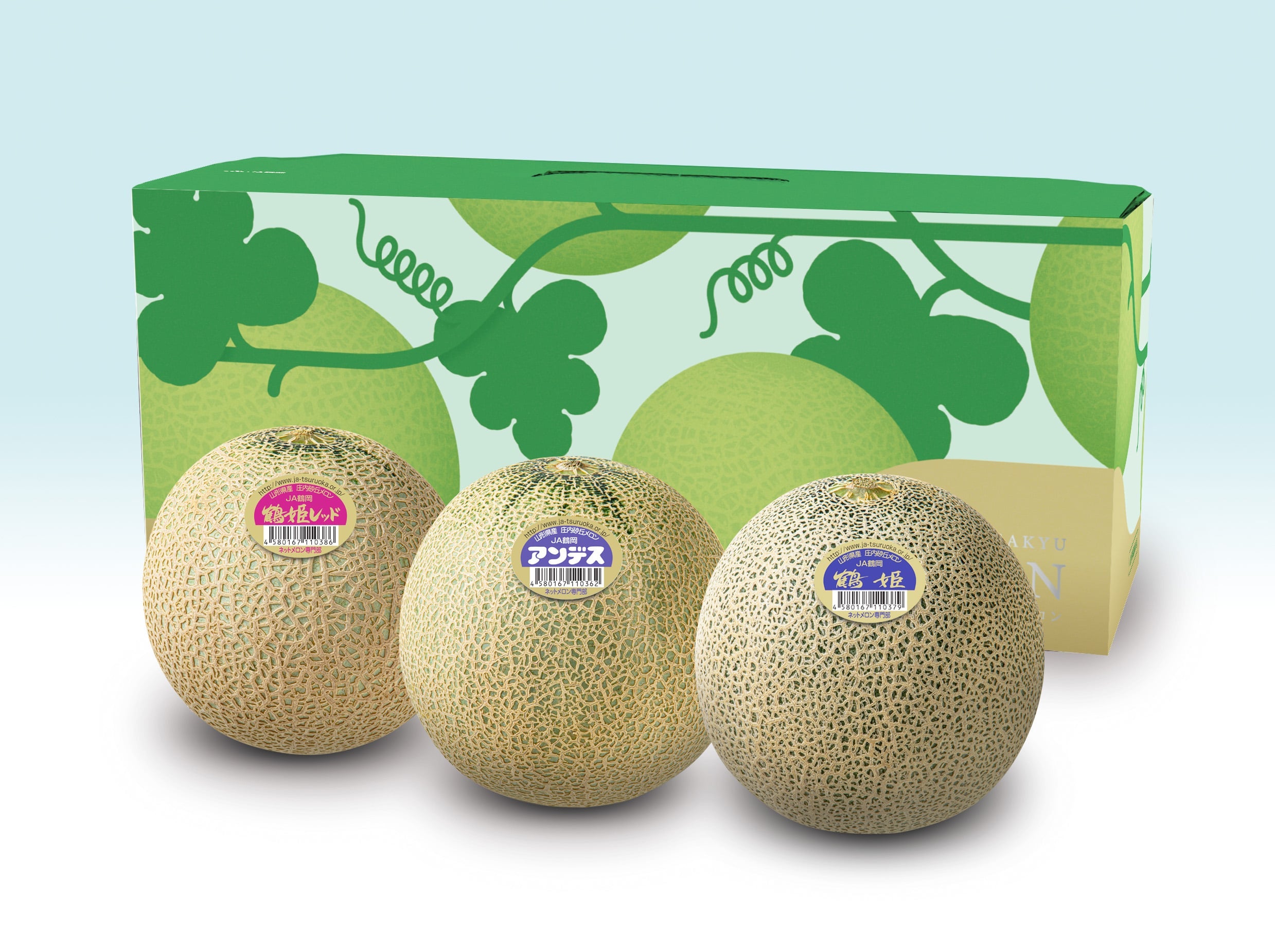 お中元にも！ 鶴岡メロン三昧（3玉）: JA鶴岡|【JAタウン】産地直送
