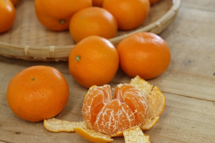 三ヶ日早生みかん（優品）L 8kg JAみっかび: しずおか『手しお屋