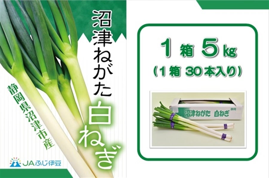 沼津ねがた白ねぎ 5kg×1箱 JAふじ伊豆: しずおか『手しお屋