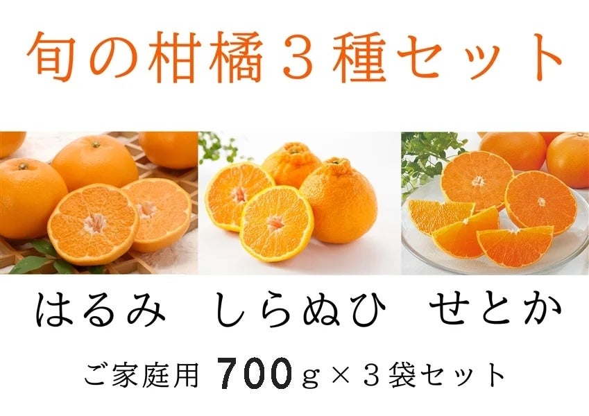 3種類】柑橘食べ比べセット【しらぬひ（不知火）】【はるみ】【せとか