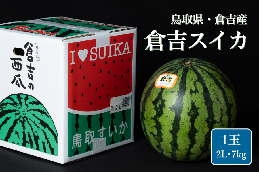 鳥取県 大玉 倉吉スイカ 2L・1玉（約7kg）: 全農とっとり JAタウン店