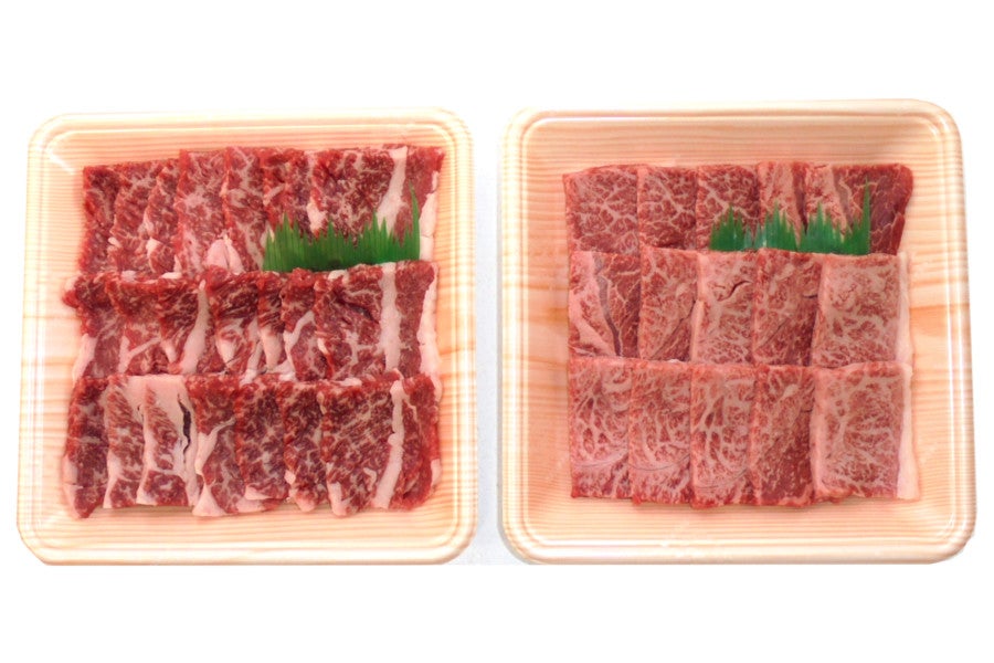 しまね和牛焼肉セット 510g （かた・バラ）【冷凍】: しまね